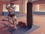  absurd_res anthro blue_hair breasts chest_wraps clothed clothing female greasymojo hair hi_res legendary_pok&eacute;mon lugia muscular muscular_female nintendo pok&eacute;mon pok&eacute;mon_(species) punching_bag solo video_games white_body wraps 