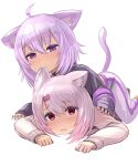  2girls ahoge animal_collar animal_ear_fluff animal_ears bangs biting black_shirt cat_ears cat_girl cat_tail collar ear_biting enumiyan eyebrows_visible_through_hair grey_hair grey_sweater hair_between_eyes hair_ornament hairclip highres hololive long_sleeves looking_at_viewer lying medium_hair messy_hair multiple_girls nekomata_okayu nijisanji on_person on_stomach open_mouth pants purple_eyes purple_hair red_eyes shiina_yuika shirt sidelocks sleeves_past_wrists sweater tail virtual_youtuber white_background white_pants 