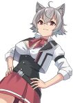  1girl absurdres ahoge animal_ear_fluff animal_ears belt black_belt breasts cat_ears closed_mouth commentary cropped_jacket crossed_bangs grey_hair hair_between_eyes hands_on_own_hips highres jacket looking_at_viewer medium_breasts mushoku_tensei neck_ribbon red_eyes red_ribbon red_skirt ribbon rinia_dedoldia shirt short_hair sidelocks simple_background skirt solo syagare thighs v-shaped_eyebrows white_background white_jacket white_shirt 