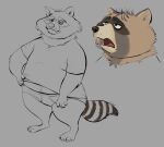 2023 4_toes anthro belly biped brown_body brown_fur clothing feet fur male mammal open_mouth osos procyonid raccoon shirt simple_background slightly_chubby solo toes topwear underwear