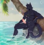 abs anthro ball_tuft balls black_balls black_body black_claws black_fur black_hair black_nose black_tail claws day digital_media_(artwork) erection feet_in_water fingers fur genitals glans hair hi_res humanoid_genitalia humanoid_penis jewelry leaning_against_tree looking_at_viewer male necklace nerton nude orange_eyes outside palm_tree partially_submerged pecs penis pink_glans pink_penis plant sea seaside sitting sky solo tail teeth tree tropical tuft vein veiny_penis water white_whiskers