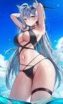  1girl absurdres animal_ear_fluff animal_ears armpits arms_behind_head bikini black_bikini blue_archive blue_eyes blush breasts cowboy_shot cross_hair_ornament dark_halo day extra_ears grey_hair hair_between_eyes hair_ornament halo highres large_breasts li_se long_hair looking_at_viewer mismatched_pupils navel outdoors parted_lips shiroko_(blue_archive) shiroko_terror_(blue_archive) solo swimsuit thigh_strap water wet wolf_ears 