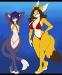 abs anthro bikini canid canine claire_o&#039;conell clothing domestic_cat duo felid feline felis female female/female fox hi_res mammal sesame_akane skidd swimwear uberquest