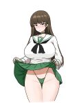  1girl alternate_costume ass_visible_through_thighs black_neckerchief blouse blunt_bangs blush brown_eyes brown_hair choker closed_mouth clothes_lift cocktiel77 commentary_request cowboy_shot frown girls_und_panzer green_choker green_panties green_skirt half-closed_eyes highleg highleg_panties korean_commentary lifted_by_self long_hair long_sleeves looking_at_viewer miniskirt navel neckerchief nishizumi_shiho ooarai_school_uniform panties pleated_skirt sailor_collar school_uniform serafuku shirt simple_background skirt skirt_lift solo standing straight_hair string_panties sweatdrop thigh_gap underwear white_background white_sailor_collar white_shirt 