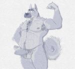 anthro armpit_hair bad_bovine balls bodily_fluids body_hair canid canine chest_hair erection eyebrows facial_hair flexing flexing_bicep fur genital_fluids genitals grey_body grey_fur hairy hairy_balls leg_hair light_belly looking_at_viewer male mammal musclegut muscular mustache nipples old old_man precum pubes solo thick_eyebrows whiskers