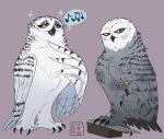 avian bird brunwella_plonk_(gogh) claws duo eyeshadow feathers female feral guardians_of_ga&#039;hoole hammer horned_owl kabuki-aku makeup owl sibling_(lore) simple_background singing sister_(lore) sisters_(lore) snowy_owl thora_plonk_(gogh) toe_claws tools true_owl white_body white_feathers yellow_eyes