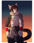 anthro biped clothed clothing countershade_fur countershade_torso countershading felid feline fur hair hi_res inner_ear_fluff male mammal munkeesgomu solo tail tuft