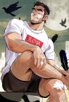  1boy arm_hair bandaid bandaid_on_hand bandaid_on_knee bandaid_on_leg bara beard_stubble bird black_feathers black_hair black_shorts blush closed_mouth crow facial_hair feathers feet_out_of_frame figure_four_sitting full_moon hand_on_own_leg highres holding holding_feather huge_moon leg_hair looking_to_the_side male_focus moon muscular muscular_male mustache_stubble original shirt short_hair short_sleeves shorts solo stubble suamaru tearing_up thick_eyebrows white_shirt 