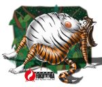  2003 anthro belly breasts digital_media_(artwork) expansion felid female fur fuusenroba hair inflation mammal nipples nude pantherine simple_background solo tiger umi 