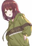  1girl bangs eyebrows_visible_through_hair eyes_visible_through_hair file112056 green_eyes green_hoodie hand_in_pocket hand_on_hip highres hood hoodie jacket light light_blush long_hair looking_at_viewer red_hair simple_background smile solo striped_clothes toki_ayano white_background yurucamp 