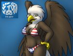  2015 4_fingers accipitrid accipitriform american_eagle anthro avian bald_eagle beak big_breasts bikini bird blue_background bottomwear breasts brown_body brown_feathers claws cleavage clothed clothing curvy_figure digital_media_(artwork) eagle eyelashes feathered_wings feathers female finger_claws fingers flag_bikini front_view logo looking_at_viewer multicolored_body multicolored_feathers nanimoose non-mammal_breasts open_beak open_mouth open_smile scuted_arms sea_eagle signature simple_background skimpy smile solo stars_and_stripes swimwear tail_feathers text thick_thighs topwear united_states_of_america url white_body white_feathers wide_hips winged_arms wings yellow_beak yellow_claws yellow_eyes 