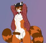  ailurid anthro balls bottomless clothed clothing collar erection humanoid_penis looking_at_viewer male mammal munks_(artist) open_shirt penis red_panda smile solo standing 