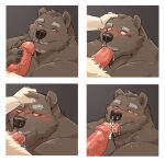  2021 absurd_res anthro black_nose blush bodily_fluids brown_body brown_fur erection fur genitals hi_res humanoid_genitalia humanoid_hands humanoid_penis jumperbear kemono licking male male/male mammal oral penile penis penis_lick sex solo_focus sweat tongue tongue_out ursid 