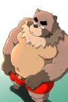  2021 2:3 anthro balls brown_body brown_fur canid canine clothing flaccid fur genitals kemono male mammal moobs nipples overweight overweight_anthro overweight_male penis raccoon_dog shibatanukiti small_penis solo tanuki underwear 