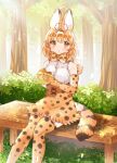  1girl animal_ears bare_shoulders blonde_hair blush bow bowtie burger commentary_request eating elbow_gloves eyebrows_visible_through_hair food gloves high-waist_skirt highres kemono_friends looking_at_viewer multicolored_hair print_gloves print_legwear print_neckwear print_skirt serval_(kemono_friends) serval_ears serval_girl serval_print serval_tail shirt short_hair sitting skirt sleeveless solo suicchonsuisui tail thighhighs white_shirt yellow_eyes zettai_ryouiki 