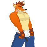  activision anthro belt bottomwear briefs bulge clothed clothing crash_bandicoot crash_bandicoot_(series) fur hair male mammal muscular muscular_anthro muscular_male notkastar one_eye_closed pants signature smile solo text tongue tongue_out underwear undressing video_games wink 