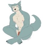  5_toes anthro athletic athletic_anthro athletic_male beastars biped bluesh canid canine canis claws eyebrows feet flaccid fur genitals grey_body grey_fur grey_tail hi_res humanoid_genitalia humanoid_penis legoshi_(beastars) looking_at_viewer male mammal multicolored_body multicolored_fur navel nipples nude penis pubes scar simple_background sitting solo toe_claws toes two_tone_body two_tone_fur white_body white_fur wolf 