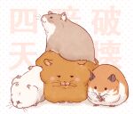  :3 animal animal_focus animal_on_head black_eyes blush_stickers cham-p commentary_request danganronpa_(series) danganronpa_2:_goodbye_despair fat group_name hamster holding jum-p kaniharu lying maga-g no_humans notched_ear on_back on_head polka_dot polka_dot_background seed sitting sun-d sunflower_seed 