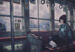  1girl black_hair blush cat drawstring hat klegsart original short_hair sitting smile solo train_interior window 