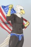  2014 2:3 4th_of_july 5_fingers accipitrid accipitriform american_eagle anthro athletic athletic_anthro athletic_male avian bald_eagle beak biceps biped bird bottomwear brown_body brown_feathers bulge clothed clothing colored_sketch digital_media_(artwork) dovne eagle feathers fingers flag genital_outline grey_background hi_res holding_flag holding_object looking_at_viewer male multicolored_body multicolored_feathers navel open_beak open_mouth open_smile pecs penis_outline portrait scuted_arms sea_eagle simple_background skimpy smile solo standing stars_and_stripes tail_feathers thick_thighs three-quarter_portrait three-quarter_view topless underwear united_states_of_america white_body white_feathers yellow_beak yellow_eyes 