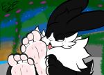  4_toes absurd_res ambiguous_gender anthro barefoot barnaby_(esf) bedroom_eyes black_and_white_fur black_body black_fur bodily_fluids cheek_tuft claws countershade_feet countershading detailed_background electricsnowfox facial_tuft feet finger_claws fingers foot_fetish foot_focus foot_lick foot_play fur hi_res hindpaw humanoid_feet lagomorph leporid licking long_ears mammal multicolored_body multicolored_fur narrowed_eyes neck_tuft open_mouth outside paws presenting rabbit seductive soles suggestive sweat sweaty_feet toe_claws toes tongue tongue_out touching_own_foot tuft two_tone_body two_tone_fur white_body white_fur 
