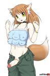  1girl agent_orange animal_ears breasts censored extra_breasts female fox_ears foxgirl futanari lowres multi_breast nipples penis simple_background solo 