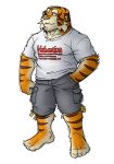  2005 anthro biped bottomwear clothing felid humanoid_hands kemono low_res male mammal pantherine shirt shorts simple_background solo tiger topwear white_background yuuki-abe 