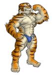 2006 anthro bulge clothing felid humanoid_hands kemono low_res male mammal nipples pantherine simple_background solo tiger underwear white_background yuuki-abe 