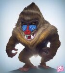  angry baboon feral fur haplorhine hi_res male mammal monkey old_world_monkey primate solo sparkittyart 