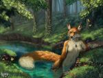  0odf 5_fingers anthro aurru breasts brown_body brown_fur canid canine day detailed_background female fingers forest fox fur grass mammal navel nude orange_body orange_fur outside partially_submerged plant solo tree water white_body white_fur 