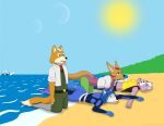  anthro beach breasts canid canine clothed clothing digital_media_(artwork) domestic_cat emperorstarscream fara_phoenix felid feline felis female fennec fox fox_mccloud group hair katt_monroe krystal male mammal nintendo outside sea seaside sky star_fox stranded sun video_games water 