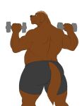  5_fingers anthro blue_eyes bottomwear brown_body brown_fur brown_hair butt canid canine canis clothing colored devin_d_parlett digital_media_(artwork) domestic_dog dumbbell exercise fingers fur gre_nose grey_bottomwear grey_clothing grey_shorts hair hi_res male mammal molosser mountain_dog musclegut muscular muscular_arms muscular_male newfoundland_dog rear_view shorts shoulder_press simple_background solo thick_thighs vamplust weightlifting weights white_background workout 