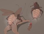  &lt;3 alternate_version_at_source animal_genitalia antennae_(anatomy) arthropod arthropod_abdomen arthropod_abdomen_cloaca arthropod_abdomen_genitalia arthropod_abdomen_penetration balls bestiality blattodea blush bodily_fluids censor_bar censored claws cloaca cloaca_juice cloaca_juice_string cockroach disembodied_penis eyelashes faceless_human faceless_male female feral feral_penetrated genital_fluids genitals hi_res human human_on_feral human_penetrating human_penetrating_feral insect insect_wings interspecies lying male male/female mammal multi_leg multi_limb on_back penetration penis precum spread_cloaca spread_wings spreading sweat toxic0266 vein veiny_penis wings 