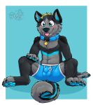  2020 absurd_res anthro balls_outline biped black_body black_ears black_fur black_hair black_nose blep blonde_hair blue_background blue_body blue_clothing blue_eyes blue_fur blue_inner_ear blue_pawpads blue_underwear blush boxers_(clothing) bulge canid cheek_tuft chest_tuft claws clothed clothing collar cute_fangs facial_tuft fur gaokun genital_outline grey_body grey_fur grey_inner_ear hair hi_res inner_ear_fluff male mammal partially_clothed pawpads paws sheath_outline simple_background solo toe_claws tongue tongue_out tuft underwear watermark 