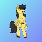  absurd_res catpony claws cute_expression equid equine feral hi_res horse lionbun1 male mammal meowing patreon_reward paws pegasus pony solo wings 