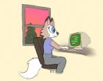  anthro biped blue_eyes bottomwear chair clothed clothing computer creature_sp crt desk female furniture hi_res lycanroc midday_lycanroc nintendo pants plant pok&eacute;mon pok&eacute;mon_(species) shirt side_view snaggle_tooth solo sunset topwear tree typing video_games window yoga_pants 