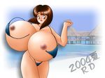  2004 beach breasts brown_eyes brown_hair erect_nipples gigantic_breasts nipples open_mouth photo_background rd solo wardrobe_malfunction 