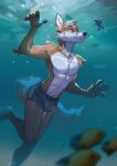  2021 anthro canid canine clothing fish fox hi_res male mammal marine multyashka-sweet reptile scalie solo tortoise turtle underwater underwear water 