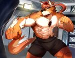  2021 abs absurd_res anthro biceps bottomwear canid canine canis chest_tuft clothing fur hair headgear headwear hi_res male mammal mono_g multicolored_body multicolored_fur muscular muscular_anthro muscular_male nipples pecs solo tuft 