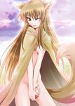  ;p animal_ears apple brown_hair cape food fruit holo long_hair naked_cape nude one_eye_closed red_eyes shiroi_noria solo spice_and_wolf tail tongue tongue_out wolf_ears 