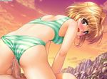  beach bikini blonde_hair clothed_sex fortune_arterial girl_on_top panties panty_pull reverse_cowgirl reverse_cowgirl_position sex short_hair straddle straddling swimsuit uncensored underwear yuuki_kanade 