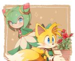  1boy 1girl animal_nose blue_eyes blush closed_mouth cosmo_(sonic_x) flower fox_boy furry misuta710 monster_girl multiple_tails plant plant_girl red_flower red_rose rose smile snout sonic_(series) sonic_x tail tails_(sonic) two_tails vase 