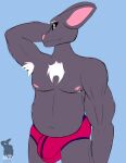  2021 absurd_res anthro clothing colored_sketch davis hi_res hybrid hyenid lagomorph leporid looking_at_viewer male male_breasts mammal morgan morgan_g._davis mostly_nude musclegut musclegutdaddy muscular muscular_anthro muscular_male nipples piercing rabbit simple_background smile solo standing watermark 