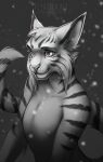  anthro felid feline hybrid lynx mammal pantherine rotarr smile snow solo tiger 