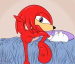  anthro anus balls bed cpctail echidna featureless_feet furniture genitals hi_res knuckles_the_echidna male mammal mobian_echidna monotreme on_bed penis pillow red_body sega solo sonic_the_hedgehog_(series) video_games 