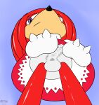  anthro bottomwear bulge clothed clothing cpctail crossdressing echidna gloves handwear hi_res knuckles_the_echidna male mammal monotreme panties sega skirt solo sonic_the_hedgehog_(series) underwear upskirt video_games 