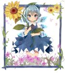  1girl :o ahoge antidote bangs blue_bow blue_dress blue_eyes blue_hair blush bow cirno commentary_request cowboy_shot dress eyebrows_visible_through_hair flat_chest flower flower_request hair_bow highres holding holding_flower ice ice_wings leaf parted_lips puffy_short_sleeves puffy_sleeves purple_flower red_neckwear red_ribbon ribbon short_hair short_sleeves simple_background solo standing sunflower touhou wings yellow_flower 