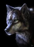  2021 ambiguous_gender black_background black_nose canid canine canis digital_media_(artwork) feral green_eyes headshot_portrait hi_res mammal portrait simple_background solo wolf wolfroad 