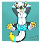  2021 anthro balls_outline biped black_body black_ears black_fur blep blue_body blue_clothing blue_ears blue_fur blue_underwear boxers_(clothing) bulge canid canine cheek_tuft chest_tuft claws clothed clothing cute_fangs cyan_background dipstick_tail ear_tuft eyebrow_through_hair eyebrows facial_tuft fur gaokun genital_outline hair hands_behind_head hi_res inner_ear_fluff looking_at_viewer male mammal multicolored_tail partially_clothed pawpads paws presenting_bulge sheath_outline simple_background solo star star_pattern toe_claws tongue tongue_out translucent translucent_hair tuft underwear watermark whiskers white_body white_ears white_fur white_hair white_inner_ear yellow_body yellow_eyes yellow_fur yellow_inner_ear yellow_nose yellow_pawpads yellow_tongue 