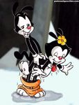  animaniacs dot_warner tagme yakko_warner 